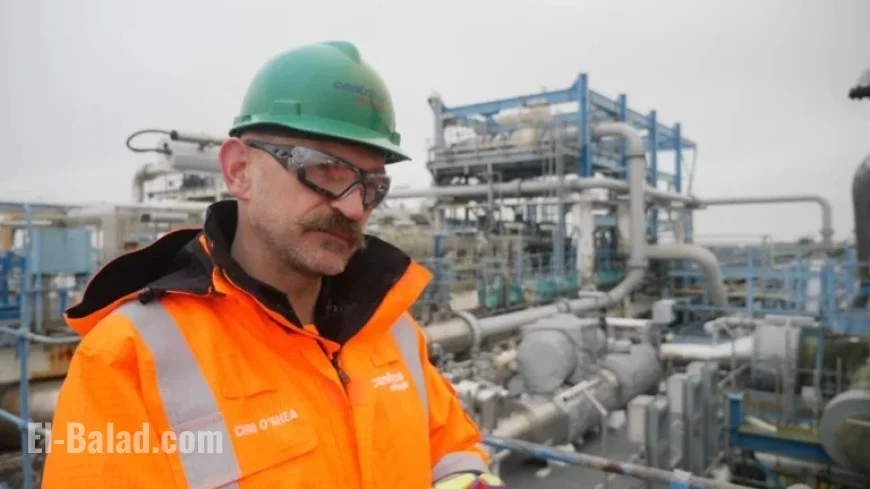 British Gas CEO Supports Higher Taxes to Lower Energy Bills