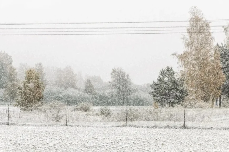 Ontario Faces Snow Squall Watch Issued by Meteorologists