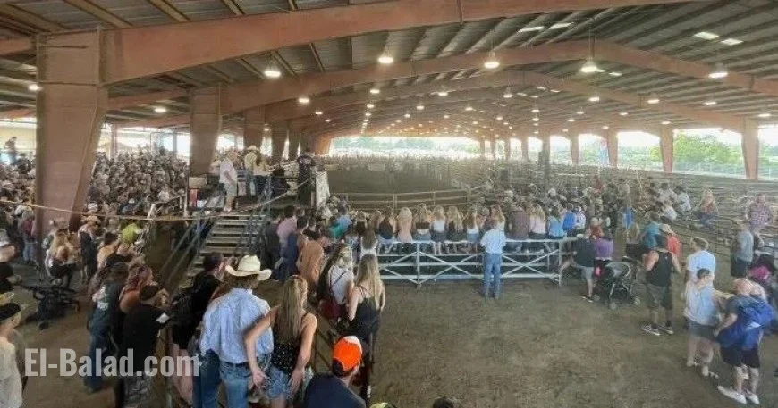 Expo Enhances EHV Safety Measures Following Brief Shutdown