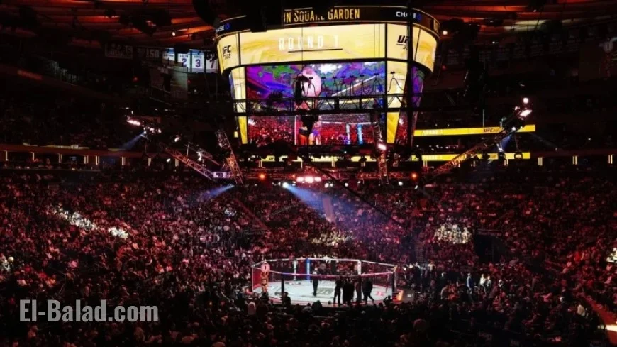 NYC Mayor Pledges Accountability for UFC 322 Brawl Fighters