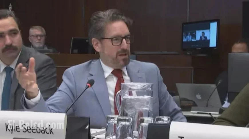 Stellantis Absence Leaves MPs Speechless Amid Hearing Technical Issues