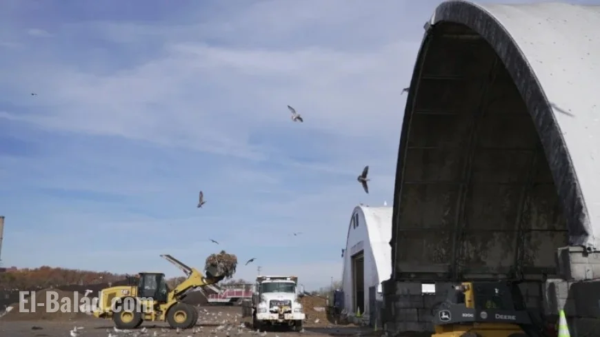 U.S. Tackles Food Waste Challenge with Innovative Solution