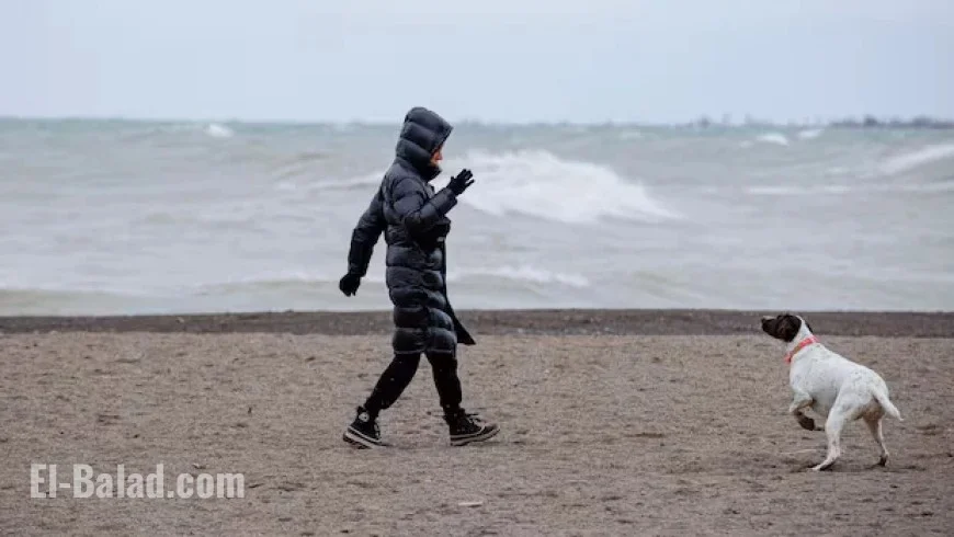 Environment Canada Issues Strong Wind Alert for Toronto