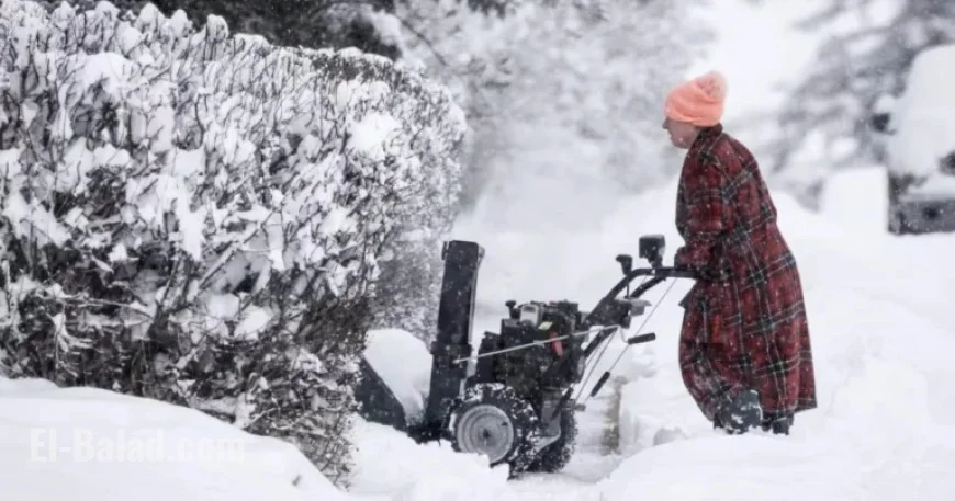 Winter Begins Abruptly in December, Warns Weather Network