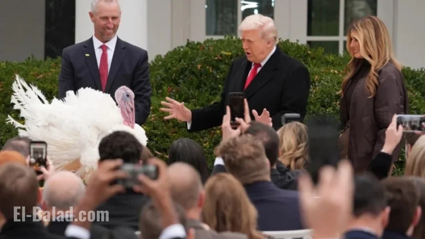 Trump Pardons Turkeys at Annual Ceremony: NPR