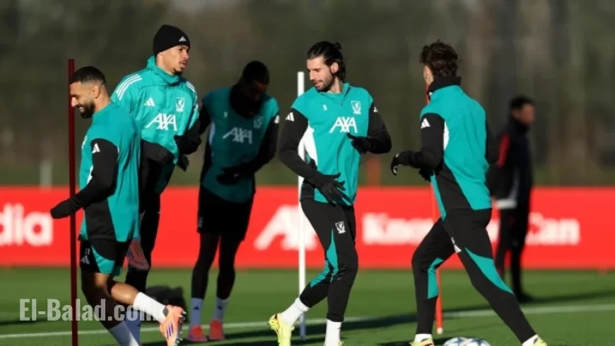 Liverpool vs PSV Eindhoven: Champions League Team Update