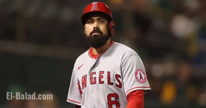 Angels Consider Buyout as Rendon Nears Retirement: Report