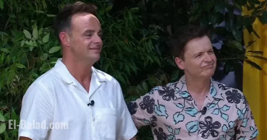 Ant and Dec Discuss I’m A Celebrity Injury Amid Fan Concerns