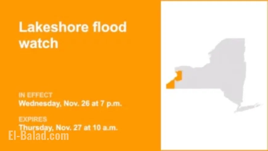 Mike Patton, The Avett Brothers Debut Live Collaboration in NYC: Watch