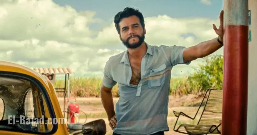 Exploring Resistance: Top Films Featuring Undercover Agents