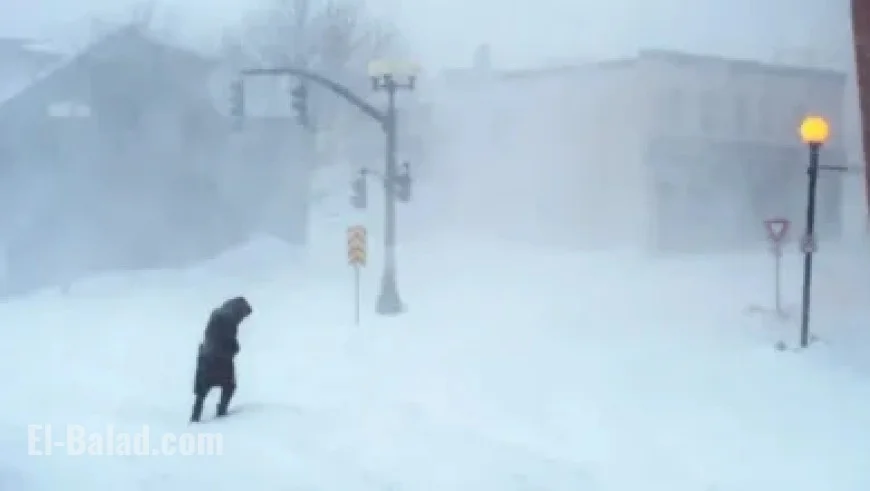 Thanksgiving and Black Friday Store Hours: What to Know