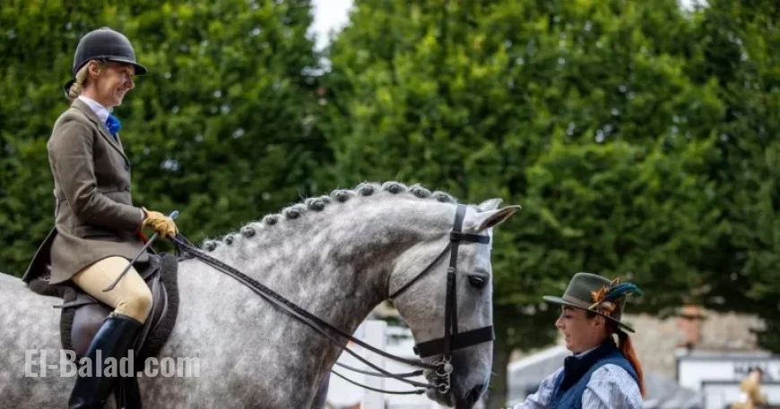 RDS Members Oppose Using Laya Arena Name for Showgrounds