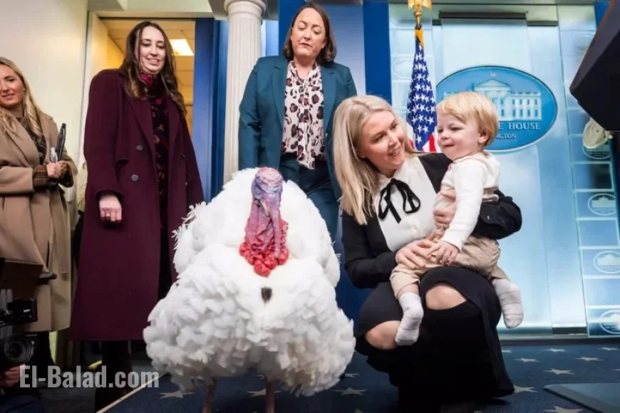 ICE Detains Relative of White House Press Secretary