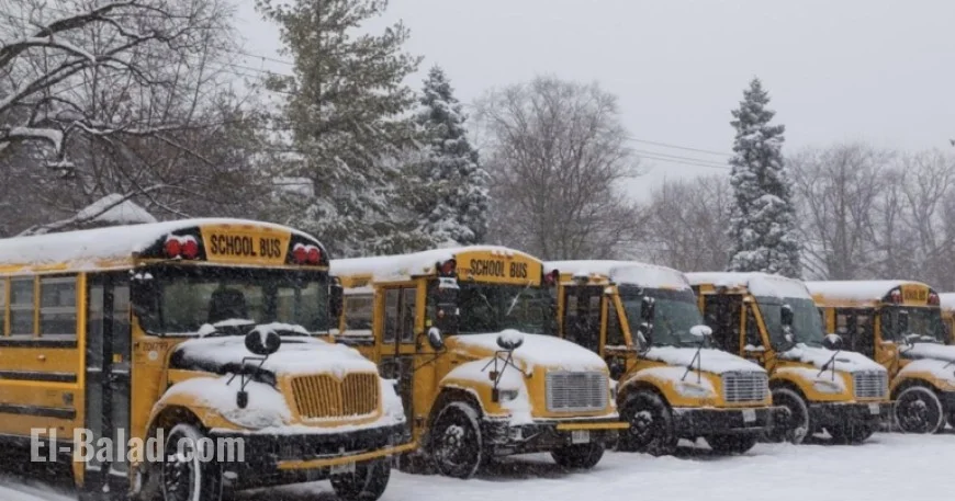 Check Ontario School Bus Cancellations and Delays in Your Region