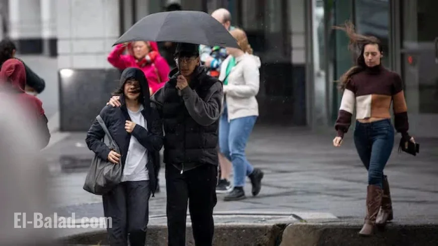 Environment Canada Forecasts Windy Wednesday for Hamilton and Niagara Region