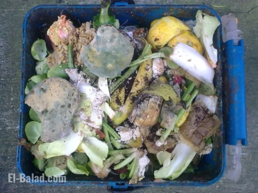 Councillor Raises Concerns Over Bin Snooping Practices