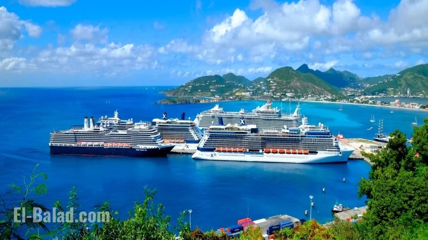 Carnival cruise death ruled homicide: what a “bar hold” is, the Anna Kepner case timeline, and the latest family-court developments