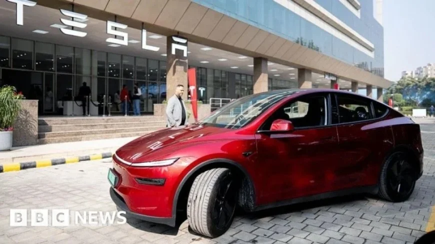 Tesla Stresses Low Costs Despite Disappointing Sales in India