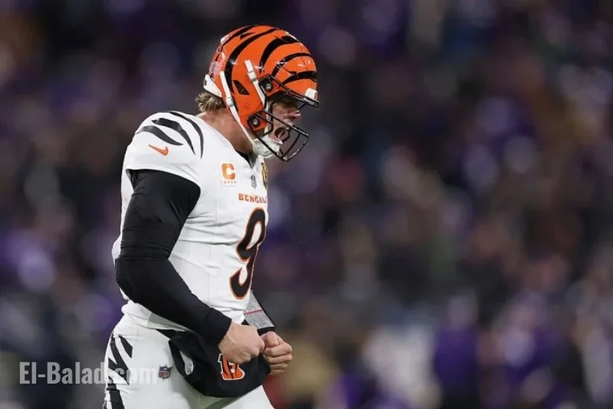 Joe Burrow Shines, Cincinnati Defense Dominates in Win Over Ravens
