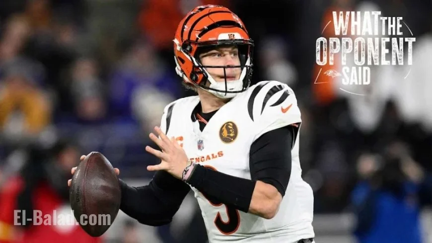 Joe Burrow, Bengals React to Victory Over Ravens