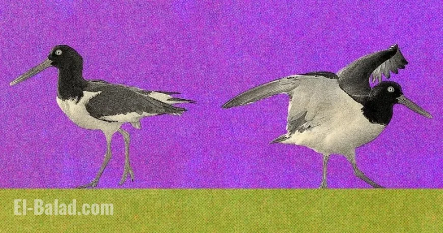 Reconnecting with My Mom After Years of Estrangement