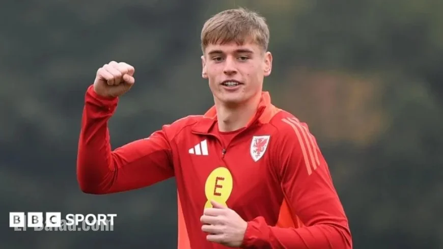 Buying a Ticket Leads to Playing for Wales