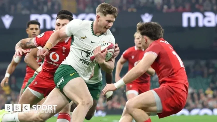 Wales vs South Africa: Live Rugby Autumn Internationals Updates and Scores