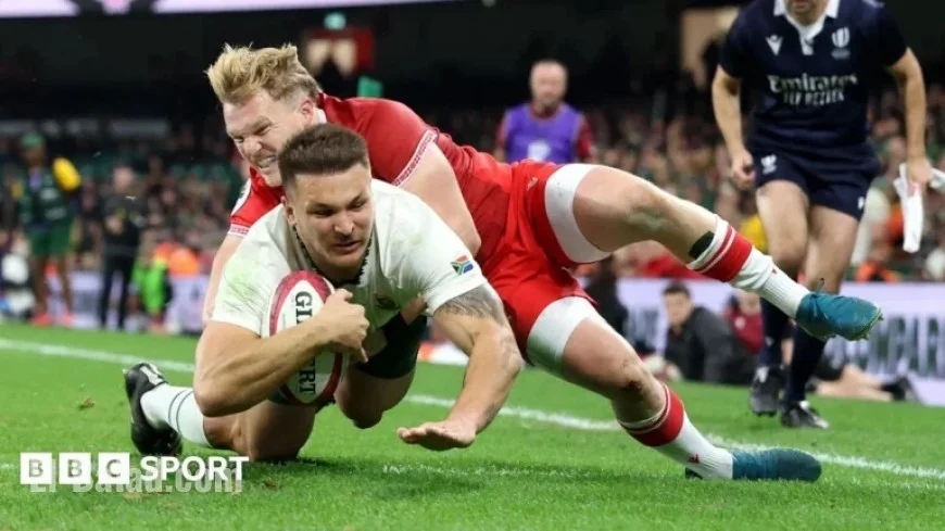 Springboks Crush Wales 73-0 in Record Home Defeat
