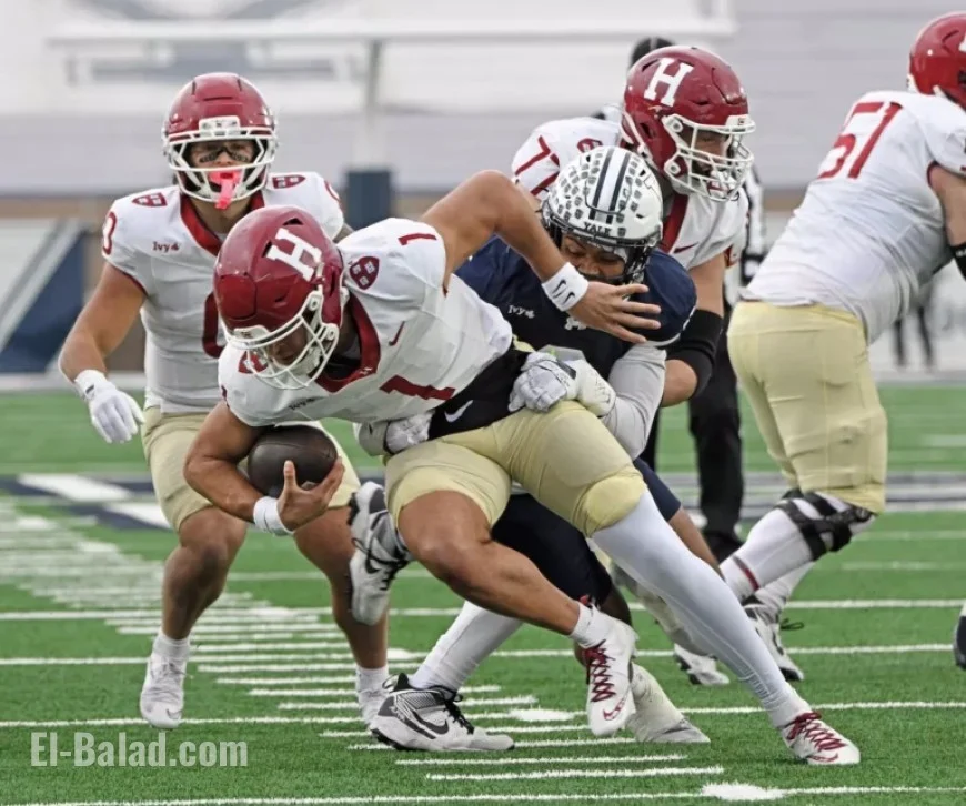 Harvard Eyes Postseason Berth After Yale Defeat