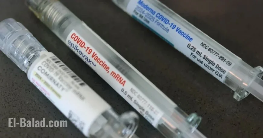 FDA Official Alleges COVID-19 Vaccine Link to Child Deaths Without Data