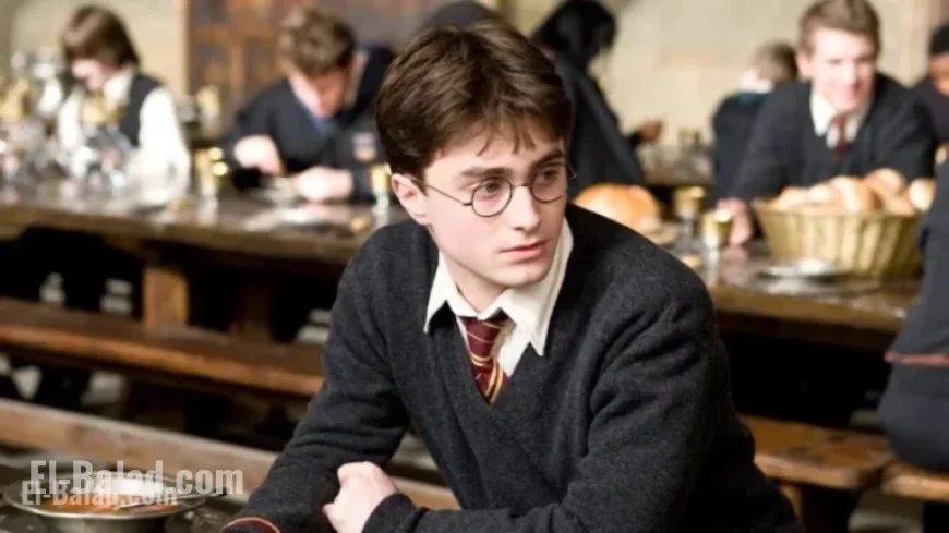 Top-Earning Actor Revealed in ‘Harry Potter’ Series
