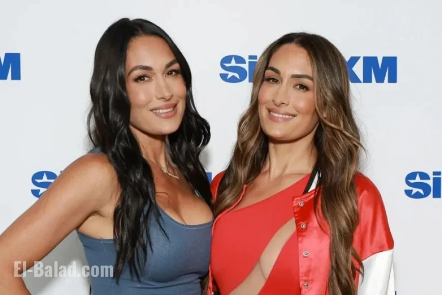 Nikki Bella Hints at Brie Bella’s WWE Comeback