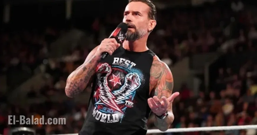 CM Punk Discusses Betrayal Concerns at WWE Survivor Series: WarGames