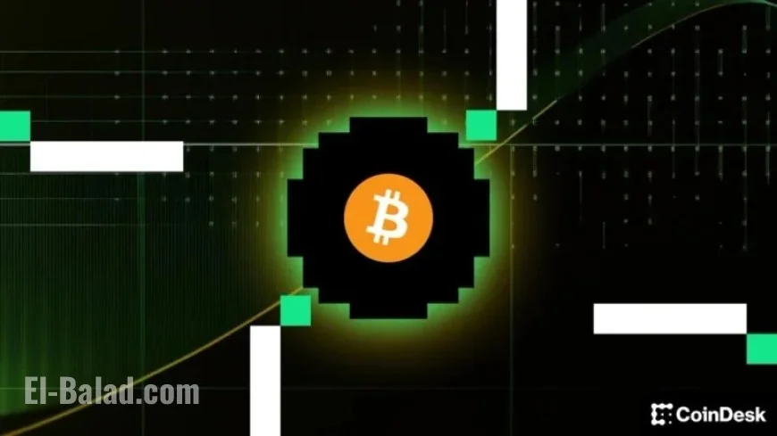 MicroStrategy CEO Asserts Unmatched Flexibility to Continue Bitcoin Purchases