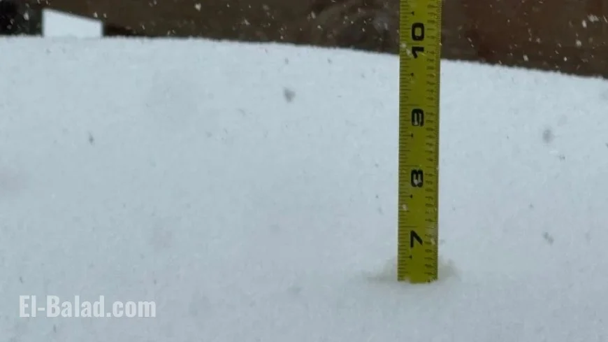 Saturday’s Snowstorm Brings Significant Snowfall to Eastern Iowa