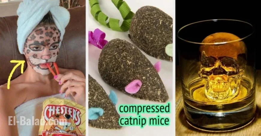 58 Perfect Stocking Stuffers for Everyone, Including Pets