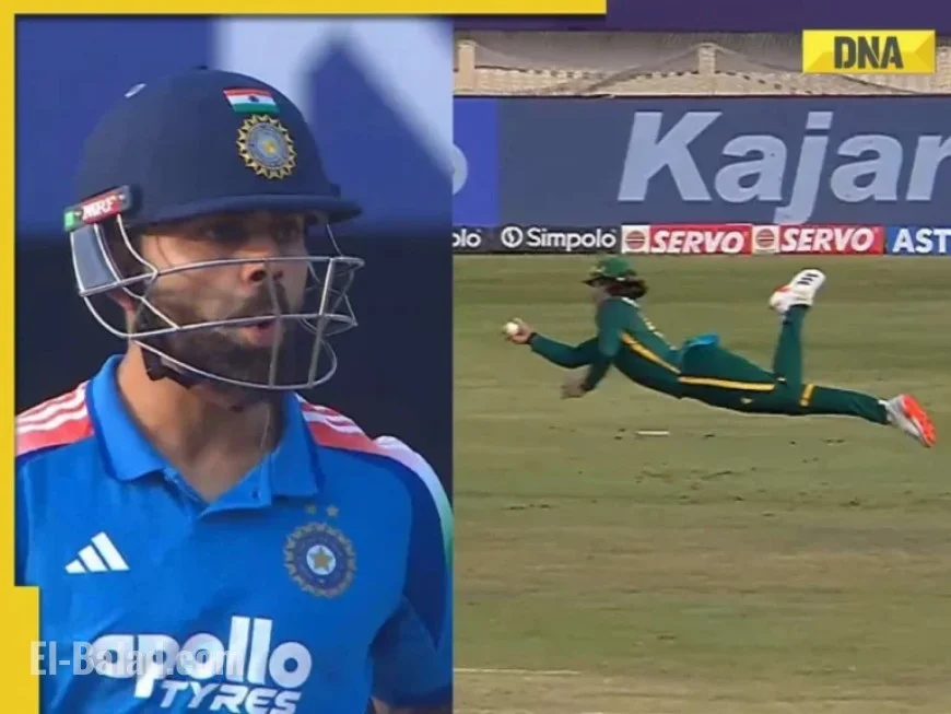 Dewald Brevis’ One-Handed Catch Dismisses Gaikwad, Sparks Viral Kohli Reaction