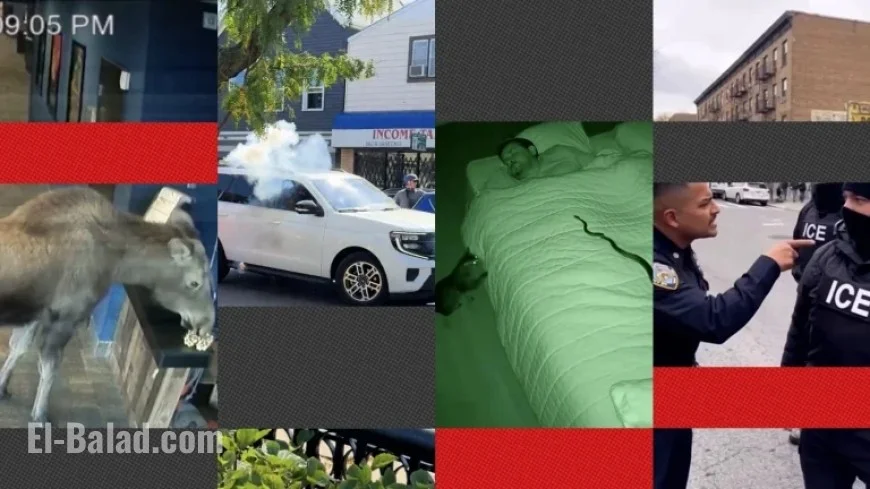 Test Your Skills: Distinguish AI Videos from Real with Our Quiz – NPR