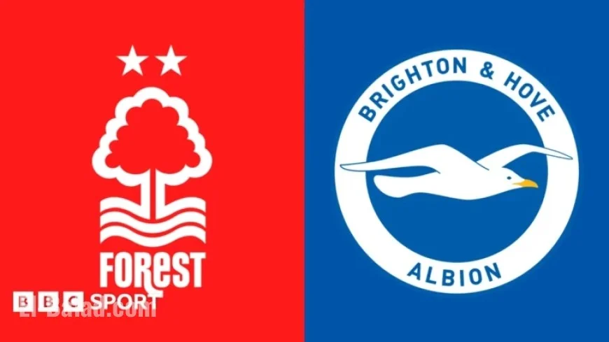 Nottingham Forest vs. Brighton: Essential Stats and Highlights