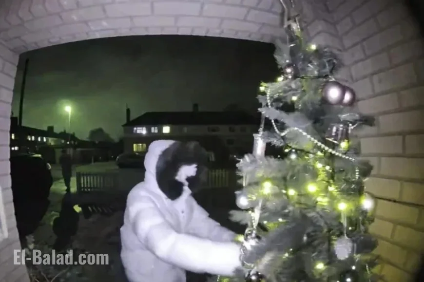 Hooded Thief Steals Christmas Tree from Mother’s Doorstep