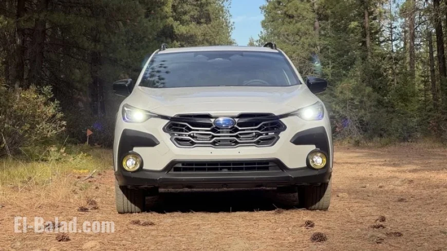 Cheapest Car Brands to Insure Revealed by Consumer Reports