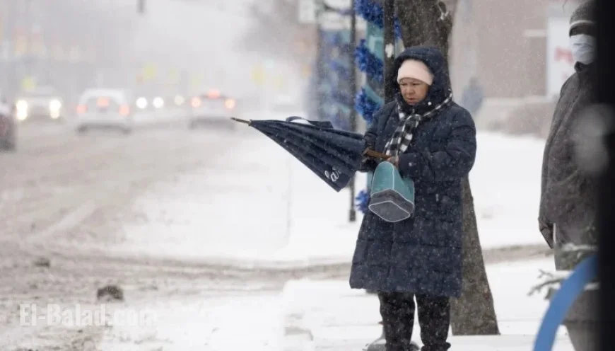 Chicago Experiences Snowiest November Day on Record, Say Forecasters