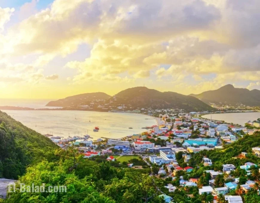 Search Intensifies for Missing Cruise Passenger After Contact Made