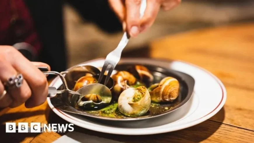 Thieves Steal €90,000 of Escargot Snails from French Farm