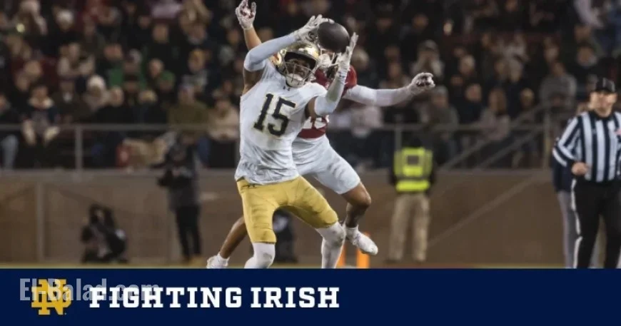 Notre Dame Dominates Cardinal, Concludes Season with 49-20 Triumph