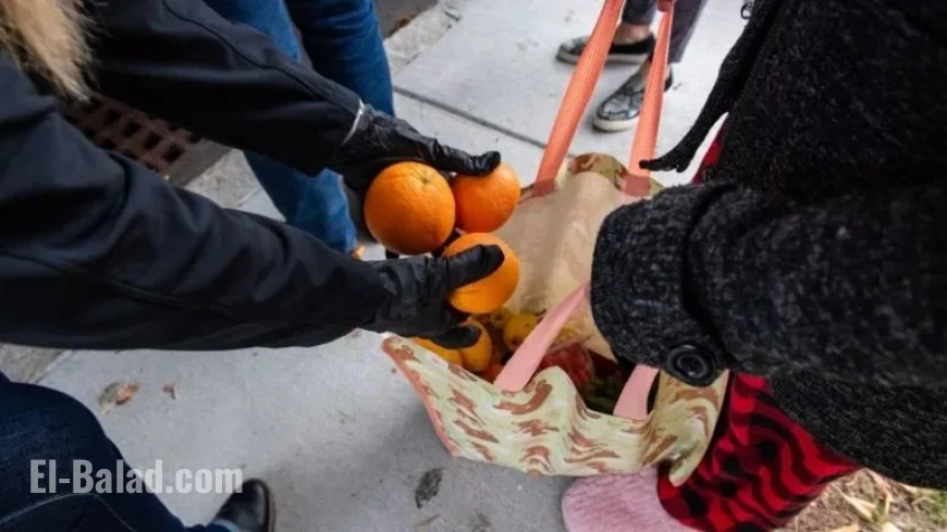 SNAP Benefits Resume, Yet Enrollees Face New Challenges Soon