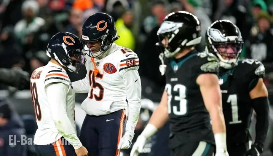 Will Bears Thrive Amid Their Self-Created Expectations?