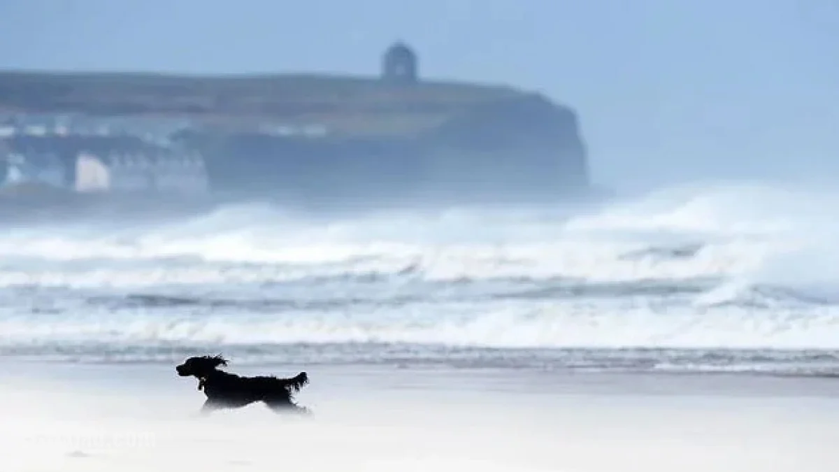 Image for Yellow Weather Alert: 60mph Gusts Threaten Northern Ireland’s Coastline