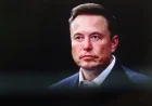 Elon Musk Predicts Future Value of Google and Nvidia Stocks