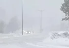 Blizzard to Hit Most of the Island on Wednesday